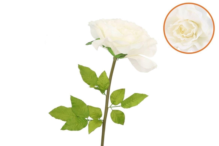 <h4>Silk Amazing Rose Beauty Cream Xxl 50x120cm</h4>