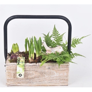 Hout rechthoek met hendel 26x11cm