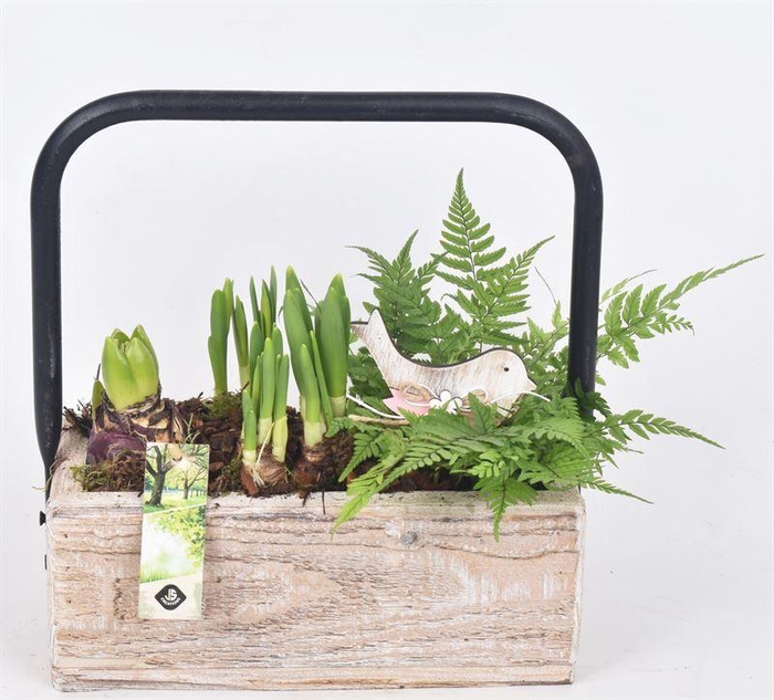 <h4>Hout rechthoek met hendel 26x11cm</h4>