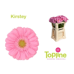GE MI KIRSTEY