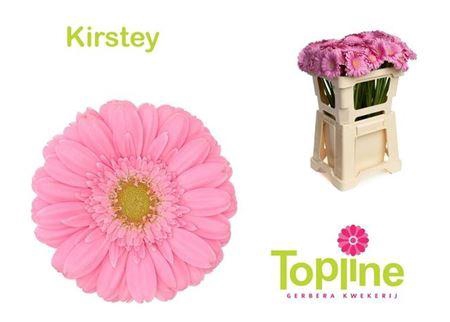 <h4>Ge Mi Kirstey</h4>