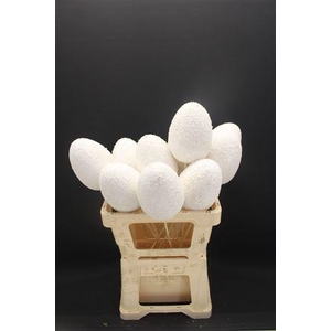 A Eieren Foam White 996
