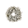 Wreath Asparagus Snow D20