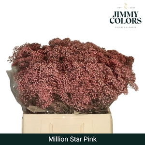 Gyps Million Star L60 Pink