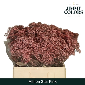 Gyps Million Star L60 Pink