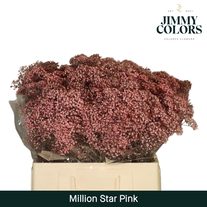 <h4>Gyps Million Star L60 Pink</h4>
