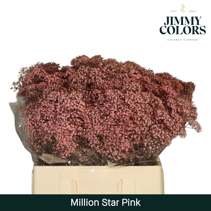 <h4>Gyps Million Star L60 Pink</h4>