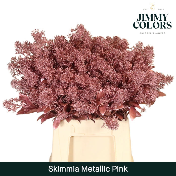 <h4>Skimmia Per Bos L45 Mtlc. Roze + Glitter</h4>
