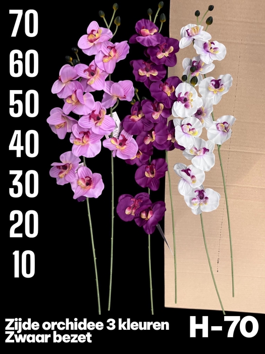 <h4>HUIS EN TUINDECO H%</h4>