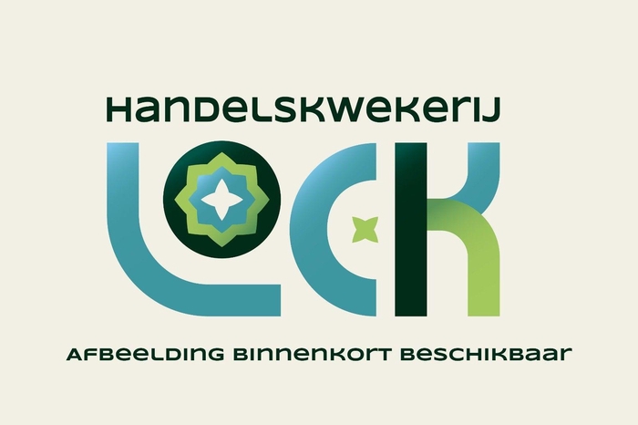 <h4>Haworthia Cymbiformis</h4>