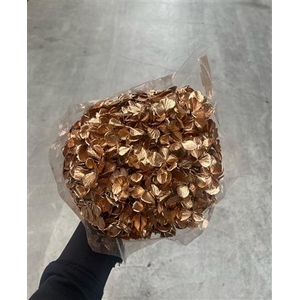 Hydrangea Xl Metallic Gold