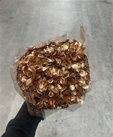 <h4>Hydrangea Xl Metallic Gold</h4>