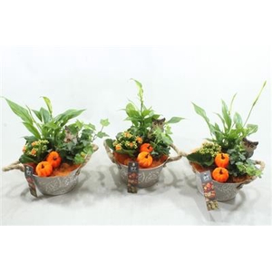 5337 ORANGE ZINK SPATH