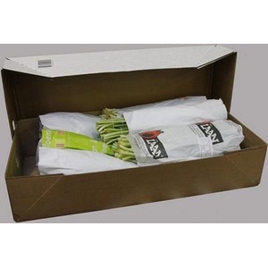 Tulipa si mix 6 colours