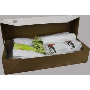 Tulipa si mix 6 colours