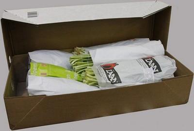 <h4>Tulipa si mix 6 colours</h4>