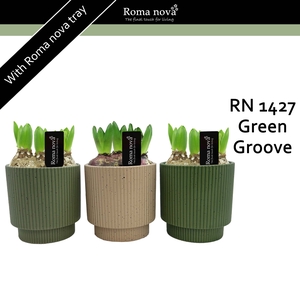 Hya Rom 1427 Green Groove