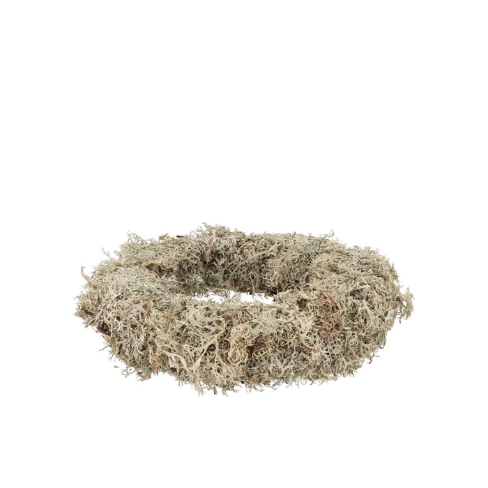 <h4>Nature Wreath Dry White Moss 30cm</h4>