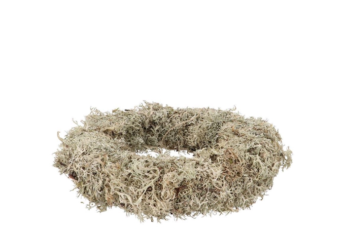 Nature Wreath Dry White Moss 30cm Nm