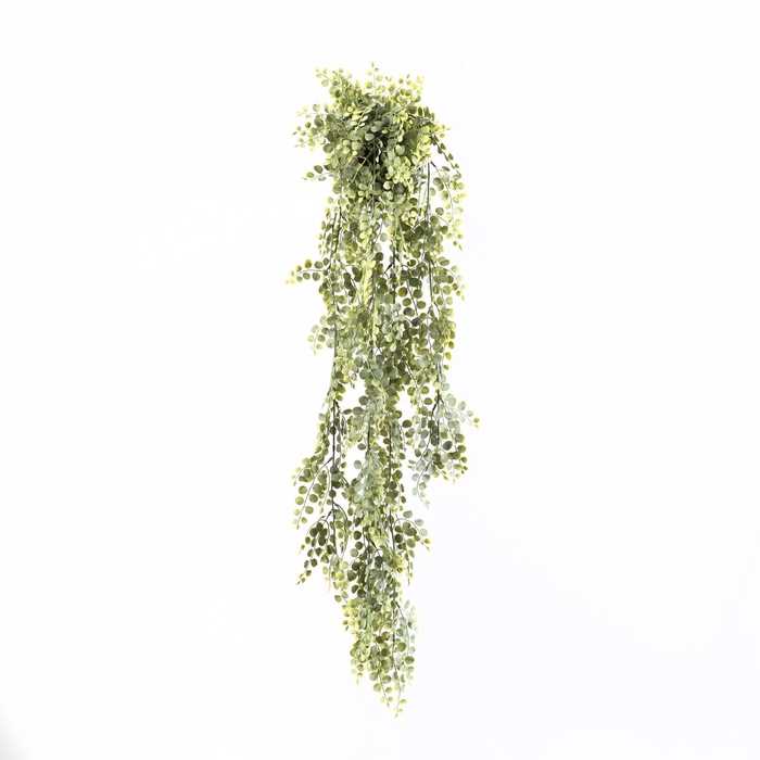 Button Leaf Hanging Plant in Pot Green GR110053GRN