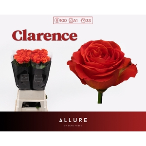 R GR CLARENCE+ ALLURE