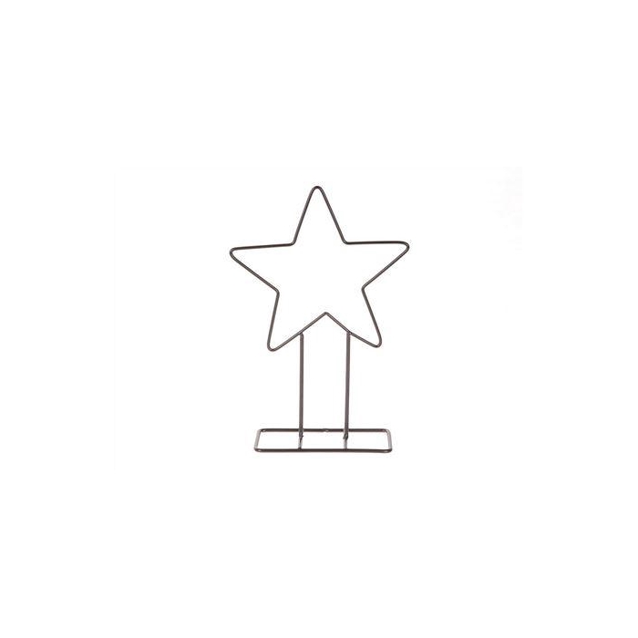 <h4>Display Star Lucker L40W12H50</h4>