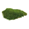 Green Moss 500 Gr