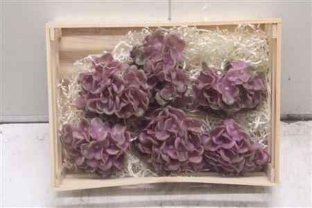 <h4>Wax Hydrangea Rosa\groen</h4>