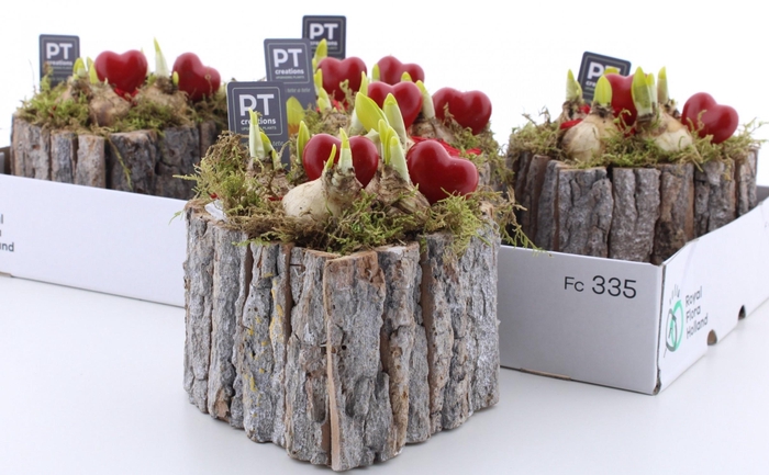 <h4>ARR N TETE A TETE</h4>