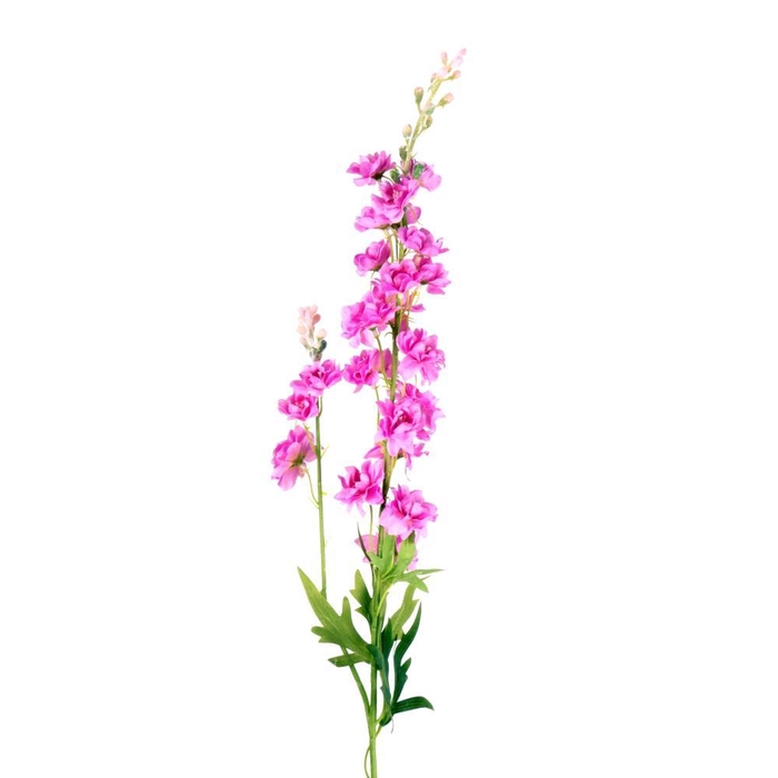 <h4>AF Delphinium L85cm beauty</h4>