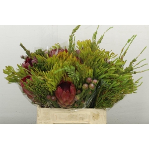 Protea Per Bos