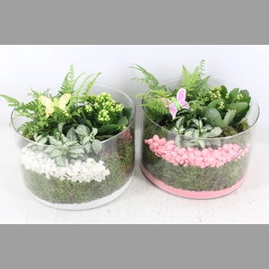 arr2 PL - Glas cilinder laag - roze/wit