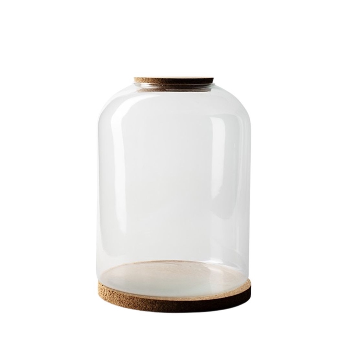 <h4>Glass Terrarium Sandra cork d25*33cm</h4>