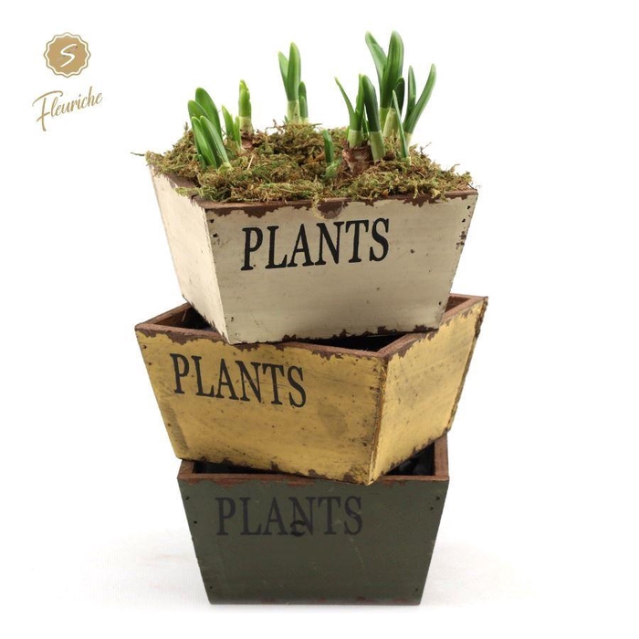 <h4>ARR N TETE A TETE H%</h4>