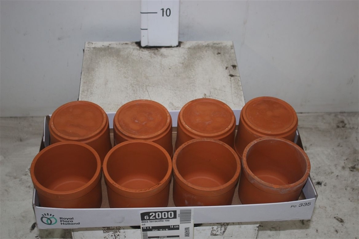 <h4>Deco Pot Terra</h4>