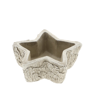 Allerheiligen Ster planter 15*15*7cm