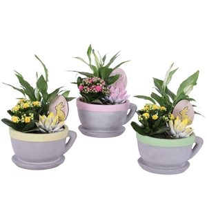 Easter Arr. Indoor Ceramic Cup And Saucer Colored Rim Ø19cm