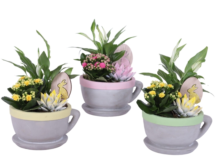 <h4>Easter Arr. Indoor Ceramic Cup And Saucer Colored Rim Ø19cm</h4>