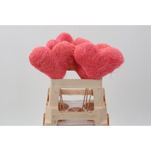 Pink Cocos Fiber Hearts