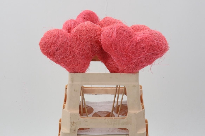 <h4>Pink Cocos Fiber Hearts</h4>