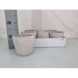 HUIS EN TUINDECO H%