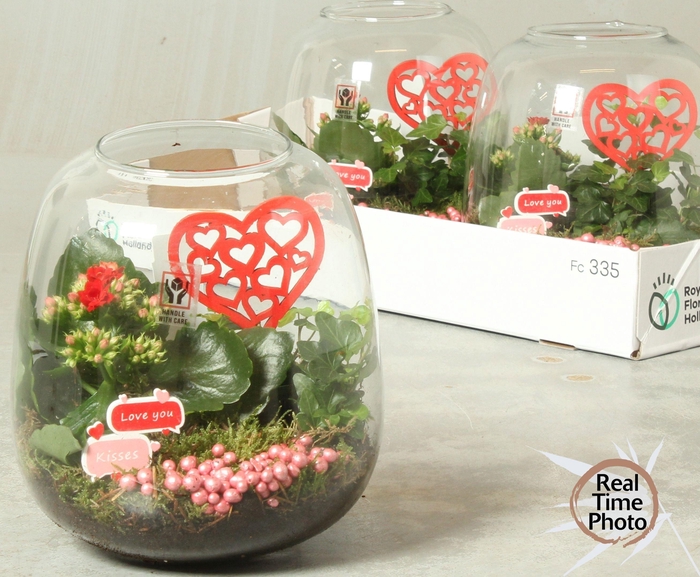 <h4>ARR KAMERPL</h4>