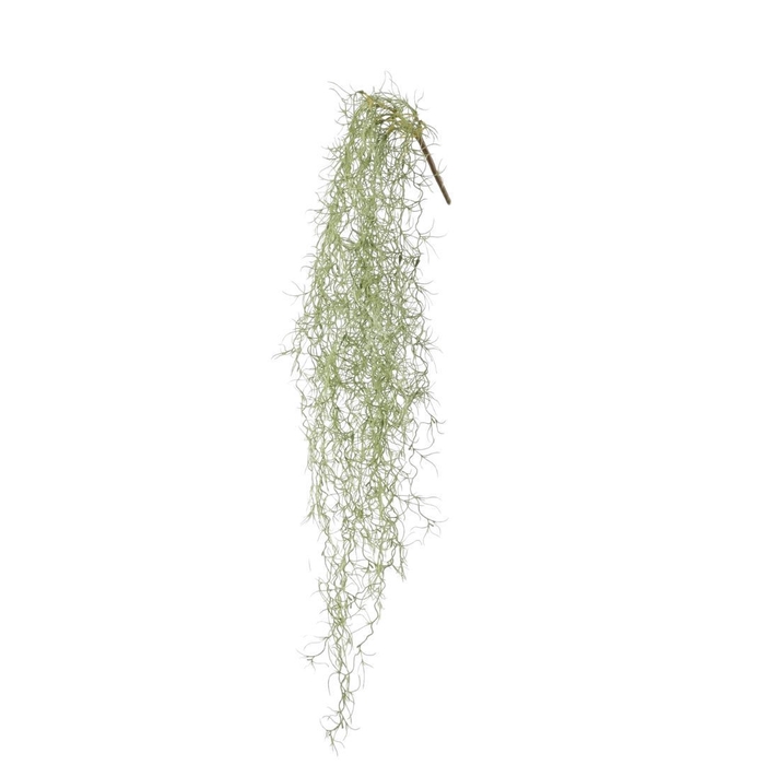 Kunstplanten Tillandsia usneoides 86cm