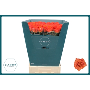 R GR CLARENCE+ GLAMOUR