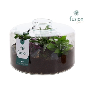 Green Bottle Kyra Large met arrangement