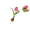 Silk Tulip Bulb Purple 25cm