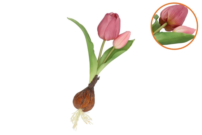 Silk Tulip Bulb Purple 25cm