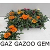 arr8 Gaz Gazoo Gem