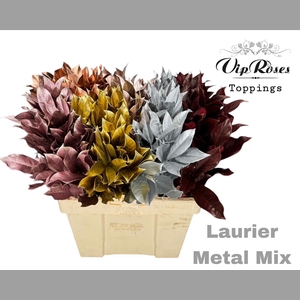 LAURIER METAL MIX