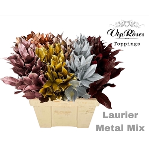 Laurier Metal Mix